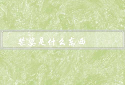 禁婆是什么东西