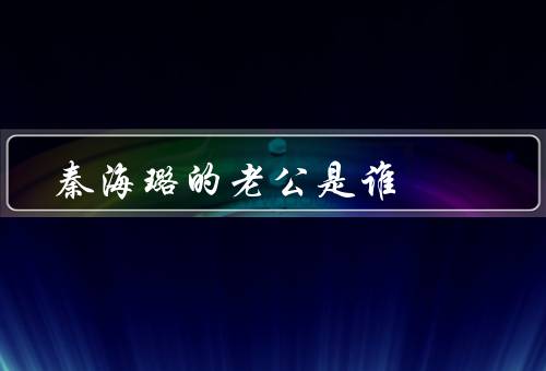 秦海璐的老公是谁