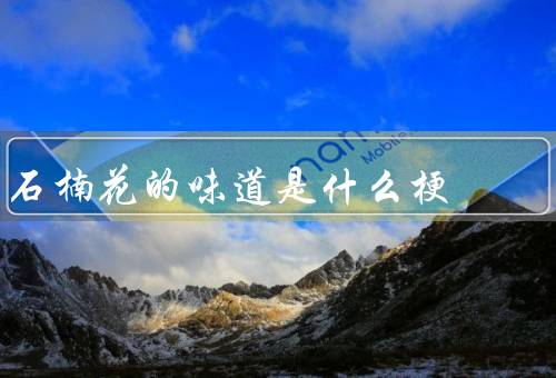 石楠花的味道是什么梗