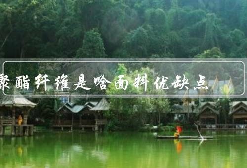 聚酯纤维是啥面料优缺点