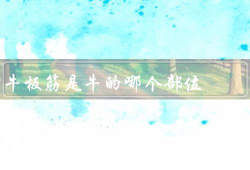 牛板筋是牛的哪个部位，牛背两块连接全身运动肌肉的主大筋