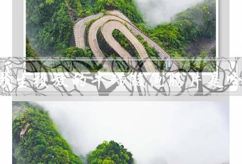 上外男生投放的牛磺酸泡腾片是啥