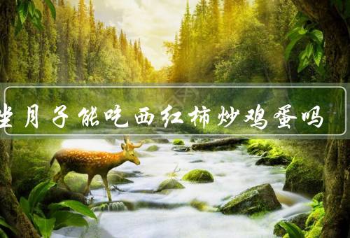问坐月子能吃西红柿炒鸡蛋吗