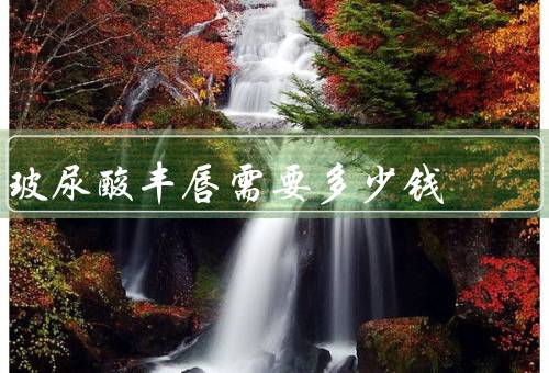玻尿酸丰唇需要多少钱