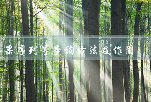 苹果序列号查询方法及作用