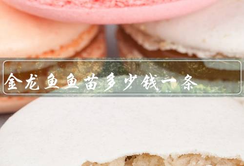 金龙鱼鱼苗多少钱一条