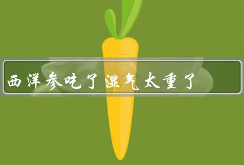 西洋参吃了湿气太重了