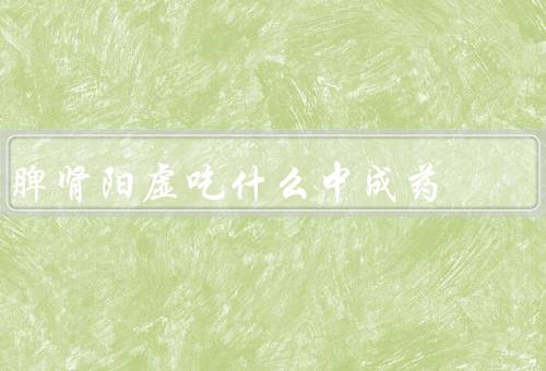 脾肾阳虚吃什么中成药