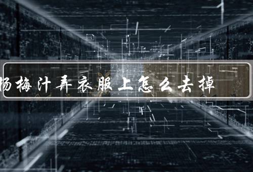 杨梅汁弄衣服上怎么去掉