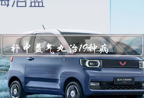补中益气丸治19种病