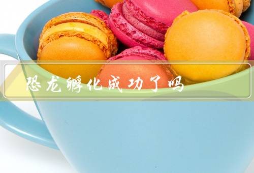 恐龙孵化成功了吗