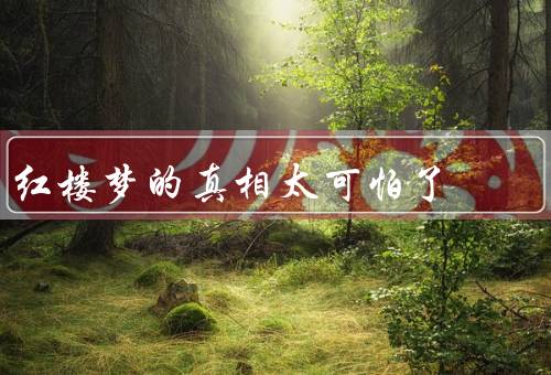 红楼梦的真相太可怕了