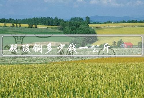 硫酸铜多少钱一公斤