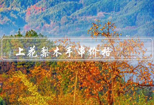 上花梨木手串价格