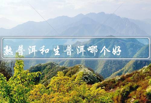 熟普洱和生普洱哪个好