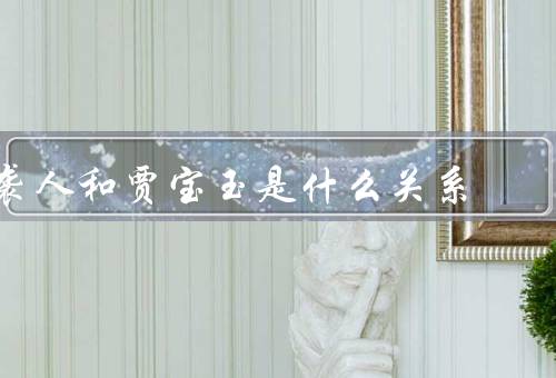 袭人和贾宝玉是什么关系