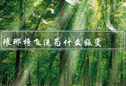 琅琊榜飞流为什么叛变