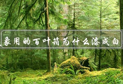 观测气象用的百叶箱为什么漆成白色
