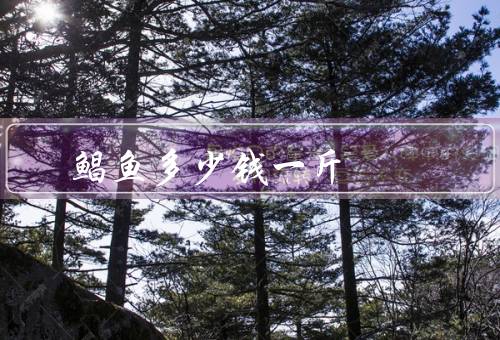 鲳鱼多少钱一斤，一般在50元／斤以上优质