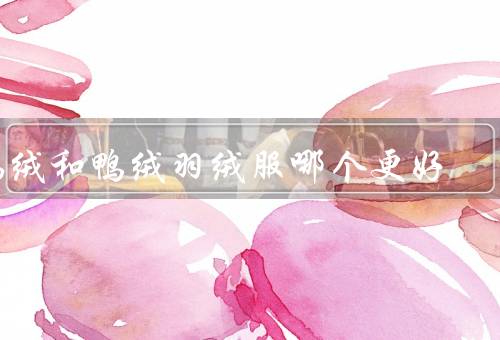 鹅绒和鸭绒羽绒服哪个更好