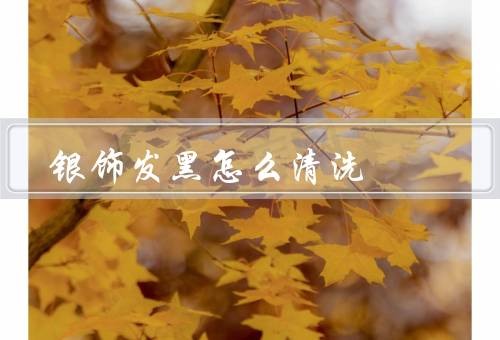 银饰发黑怎么清洗