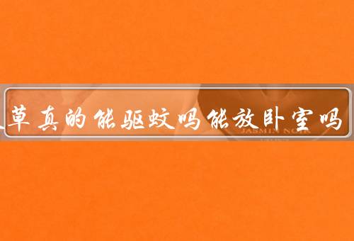 驱蚊草真的能驱蚊吗能放卧室吗