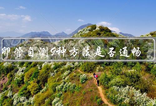 输卵管自测9种方法是否通畅