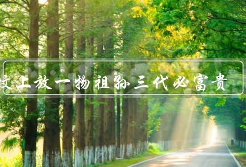祖坟上放一物祖孙三代必富贵