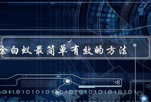 除白蚁最简单有效的方法