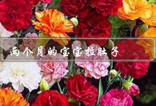 两个月的宝宝拉肚子