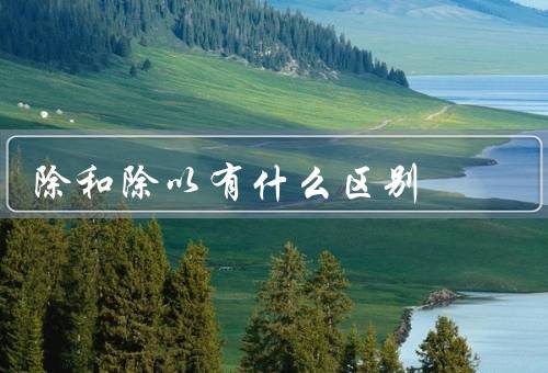 除和除以有什么区别