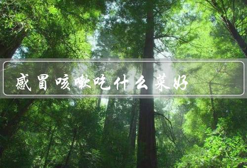 感冒咳嗽吃什么菜好