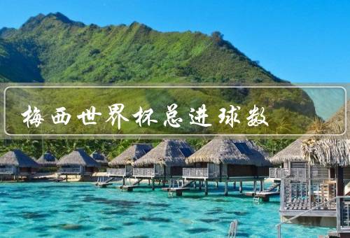 梅西世界杯总进球数