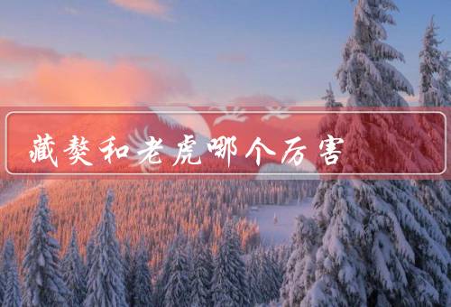 藏獒和老虎哪个厉害