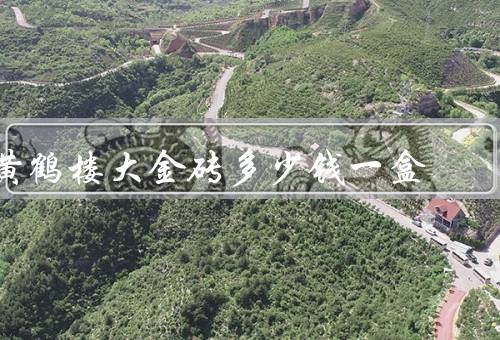 黄鹤楼大金砖多少钱一盒