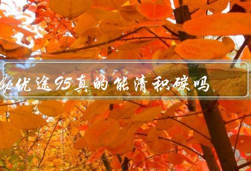bp优途95真的能清积碳吗，不能清积碳可以减少积碳优质