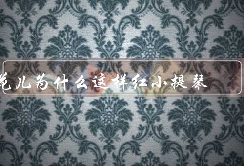 花儿为什么这样红小提琴