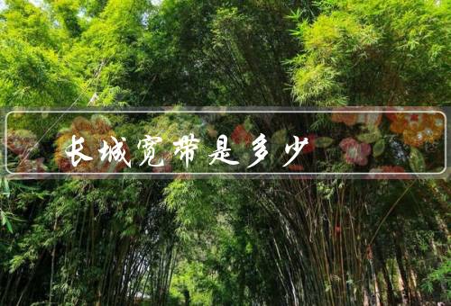 长城宽带是多少