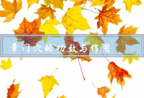 章门穴的功效与作用