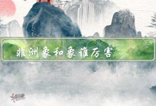 非洲象和象谁厉害