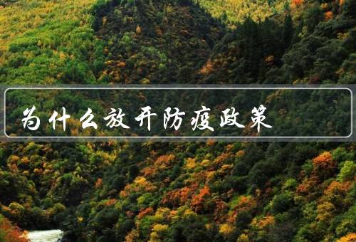 为什么放开防疫政策