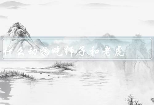 什么动物吃狮子和老虎