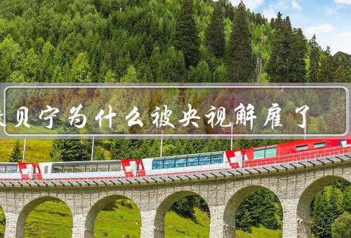撒贝宁为什么被央视解雇了