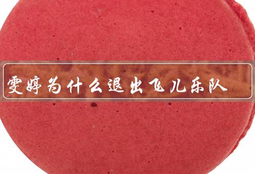 詹雯婷为什么退出飞儿乐队