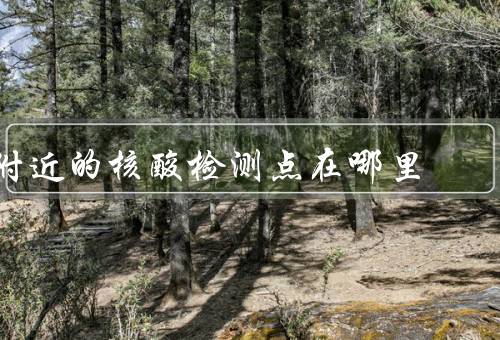 附近的核酸检测点在哪里