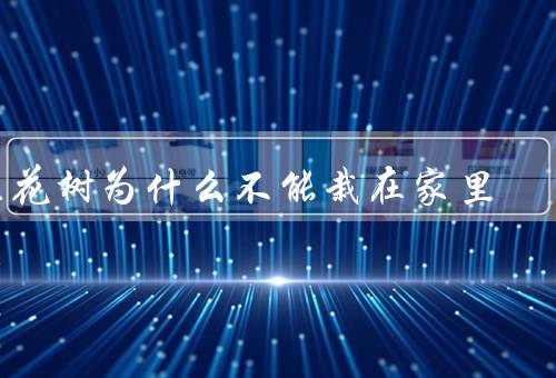 桂花树为什么不能栽在家里