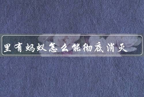家里有蚂蚁怎么能彻底消灭