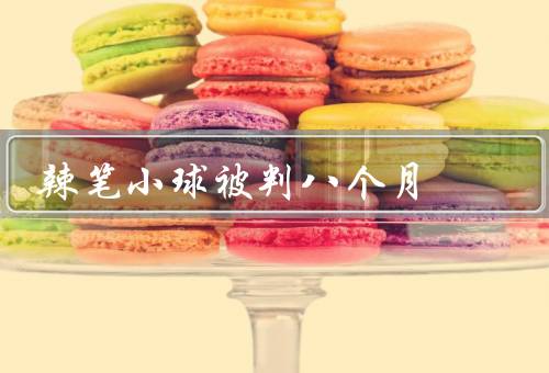 辣笔小球被判八个月
