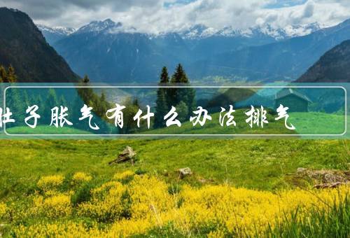 肚子胀气有什么办法排气