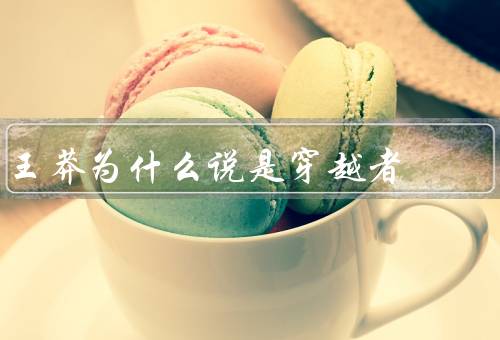 王莽为什么说是穿越者